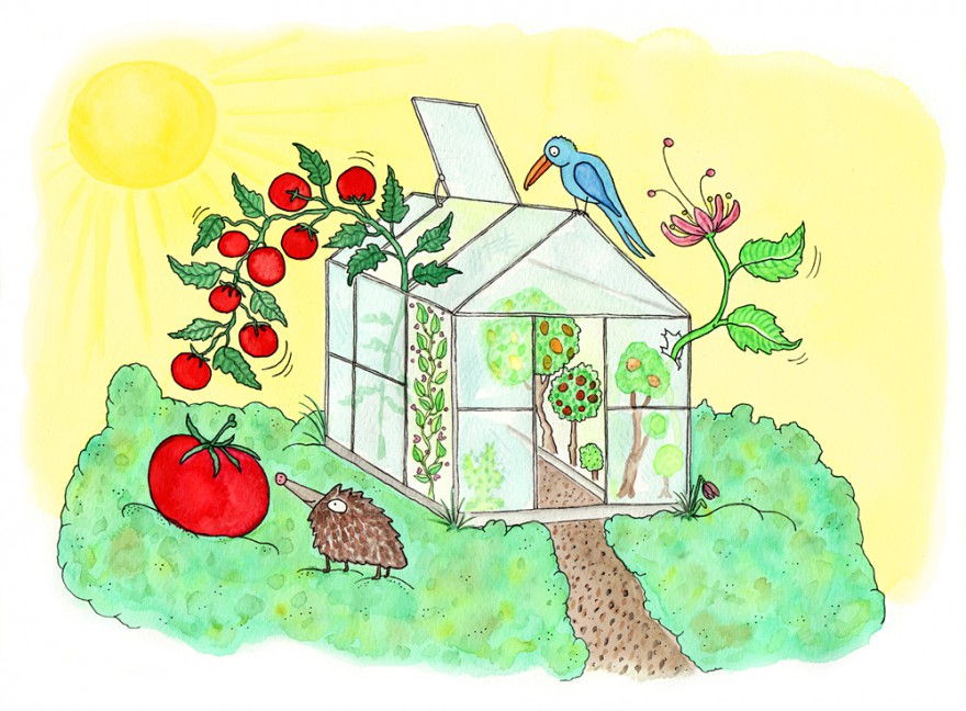 Lilla-klimatboken-tomat-vaxthus